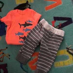 Shark Pant set